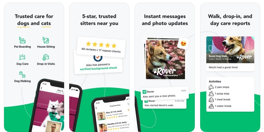 Rover screens