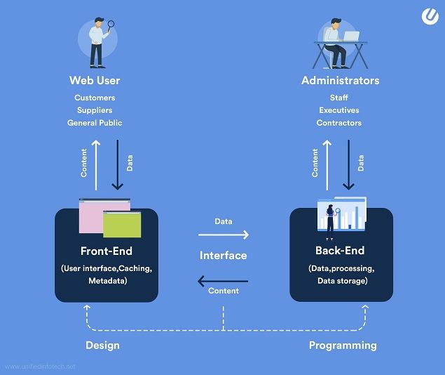 customized website development costs