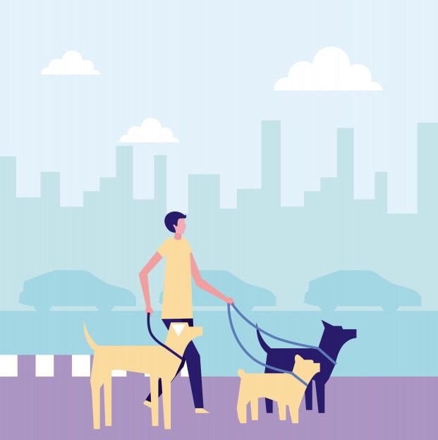 on demand dog walking app development like Uber