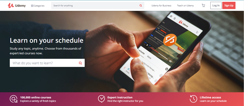 Udemy Website