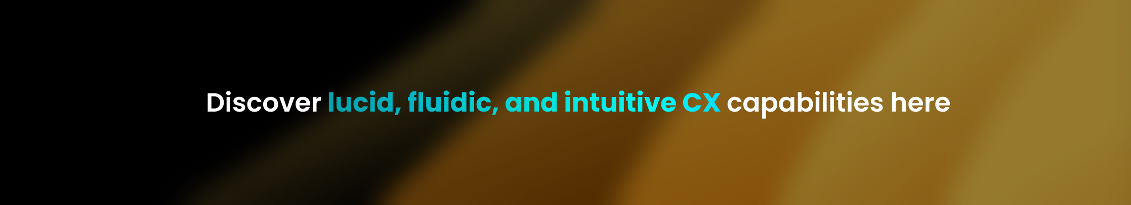 Discover lucid, fluidic, and intuitive CX capabilities here